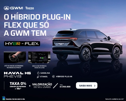 h6 phev19